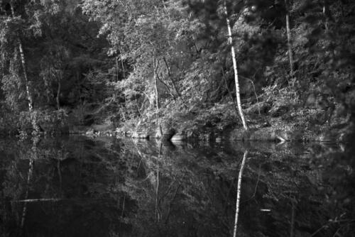 Silbersee