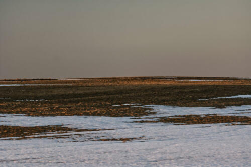 Feld mit Schneeresten